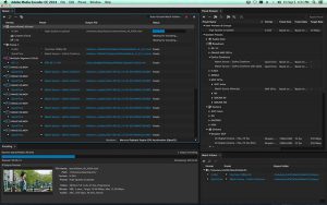  Adobe Photoshop 2021 Free Download