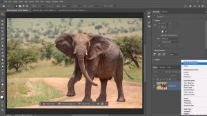  Adobe Photoshop 2026 Free Download