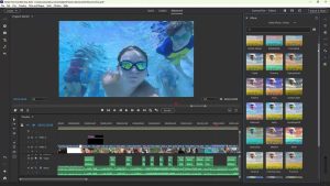 Adobe Premiere Elements 2023 For Mac Free Download