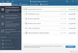 Download-Auslogics-Windows-Slimmer-Professional-2025 Auslogics Windows Slimmer Professional 2025 Free Download