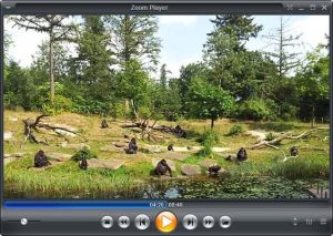  Zoom Player MAX 2026 Free Download