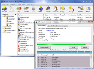 Internet-Download-Manager-Free-Download-Full-Version-300x221 Internet Download Manager Free Download