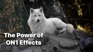 images-4-300x168 ON1 Effects 2026 Free Download