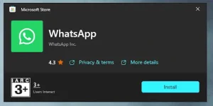 Download-WhatsApp-on-PC-1-1-300x150 How To Use WhatsApp on PC