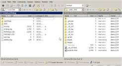 download-1-1-1 WinSCP Free Download New Version 2027