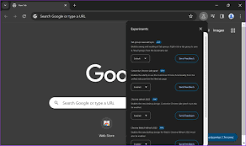 download-1-1 Google Chrome Canary - Download New Version