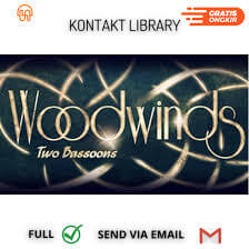 Strezov Sampling – Bassoon Ensemble (KONTAKT) Free Download