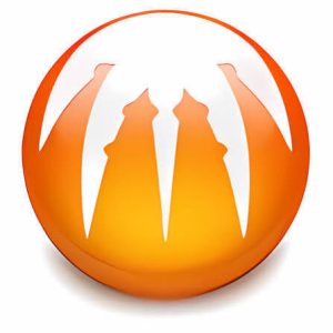 images-84-1-300x300 BitComet 2.22 Free Download